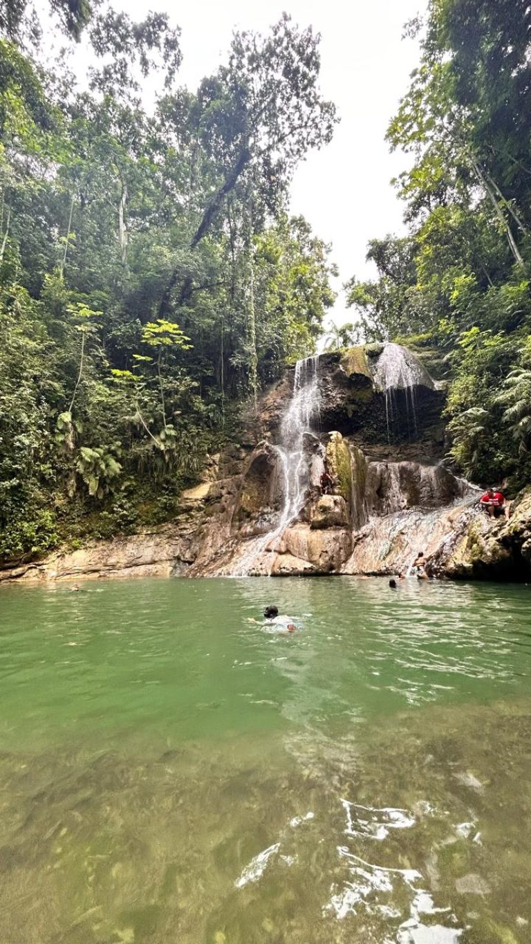 WhatsApp Image 2025-06-20 at 15.55.09_11480d0f