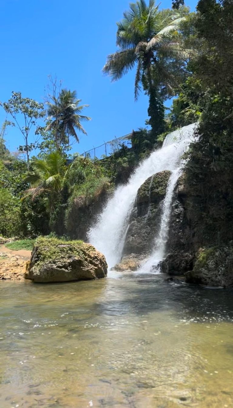 WhatsApp Image 2025-06-20 at 15.55.24_72b265f9