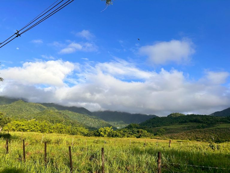 WhatsApp Image 2025-06-20 at 15.55.28_7f7e9743