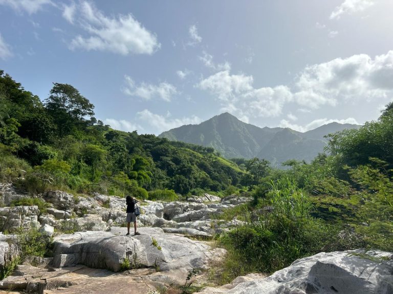 WhatsApp Image 2025-06-20 at 15.55.35_93158a2f