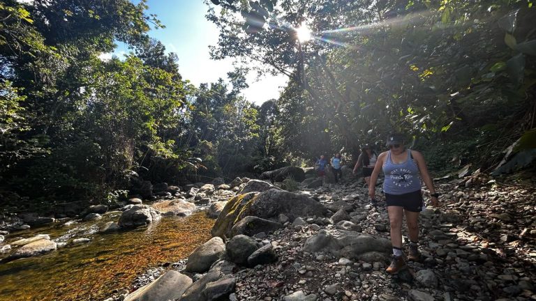 WhatsApp Image 2025-06-20 at 15.55.37_a06caeaf